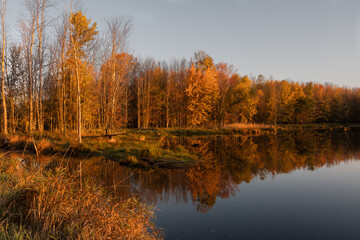 Autumn Morning at the Swamp