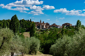 vineyards of felsina winery of chianti