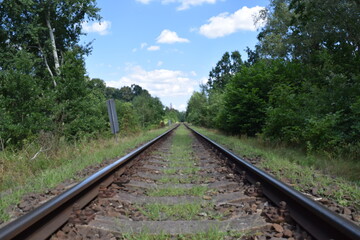 railway in the forest