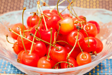 さくらんぼ（佐藤錦）