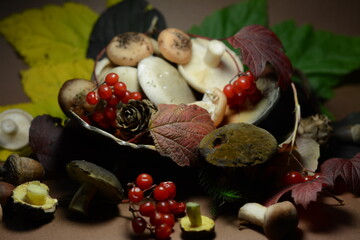 Large autumn still life of different mushrooms, colorful leaves, acorns, cones and viburnum