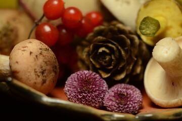 Autumn still life in a vase - mushrooms, cones, acorns, viburnum and chrysanthemums