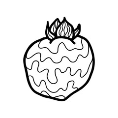 Vector doodle Persimmon. Hand drawn persimmon fruit illustration isolated on white background. Food icon
