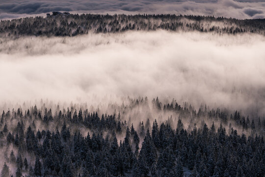 fog in mountains © Timefocus Films