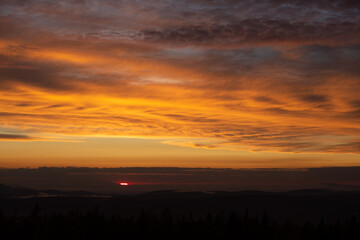 Obraz premium sunset over the forest