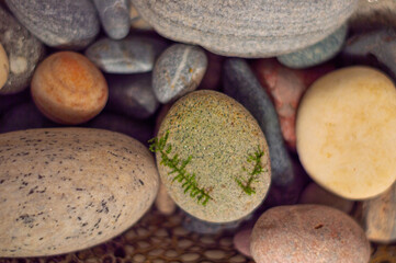 image of a set of stones from the sea and river of different colors. Stones wallpaper. Relax 