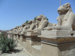 The historical sites around The Karnak Temple in Luxor in the Egyptian Sahara Desert