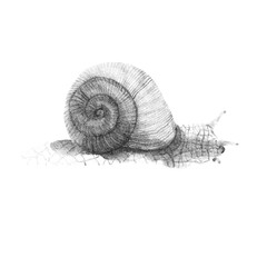 cute grey snail, hand drawing with textures