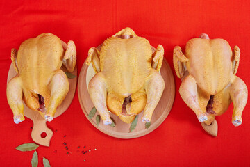 Three raw chicken on red background. © Malsveta