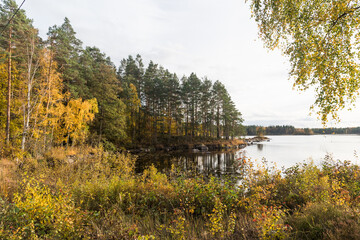 Tranquil lake view in fall colors