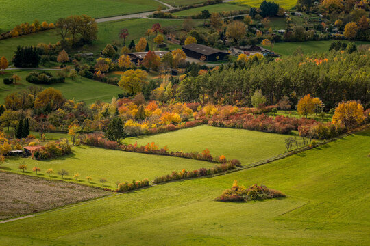Luftbild/Aerial Laubwald Herbst