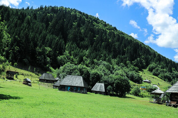 landscape with fence