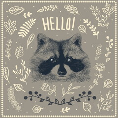 Sketch raccoon face.