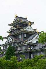 Fototapeta premium 岡山城の天守閣