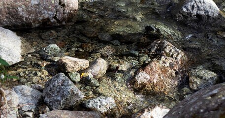 Clean water of a mountain river in the Khibiny mountains