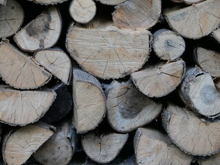 Drewno © Katarzyna