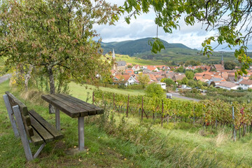 In den Weinbergen oberhalb von Birkweiler, Südpfalz