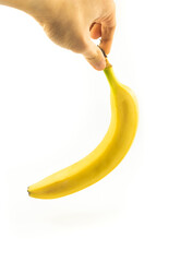 Banana holding by tail on white isolated background