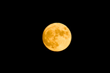 Fototapeta premium moon