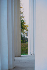 View of nature through the frame of the white columns of the building