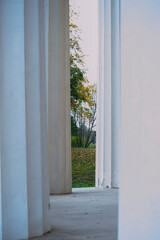 Fototapeta premium View of nature through the frame of the white columns of the building