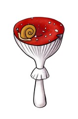 Digital art hand drawn illustration composition of amanita muscaria mushroom with red cap and little snail on it. Fly agaric isolated on white background for prints, stickers and decorations 