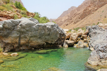 Fototapeta na wymiar Waterhole, Middle Eastern Desert Oasis, Muscat, Oman. No people