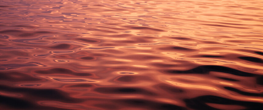 The smooth surface of lake Geneva at sunset in Evian, France