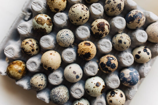 Spotted Quail Eggs In Carton