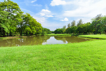 Beautiful landscape in park and green grass field.