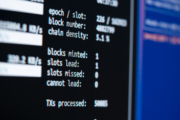 Focus on blocks minted on Cardano proof of stake server screen, open source protocol
