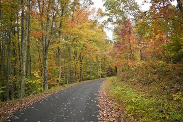 Fototapeta na wymiar Road through Autumn Colors in West Virginia