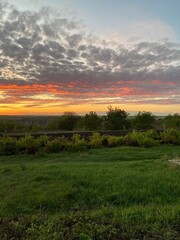 sunset over the field