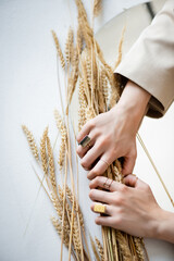 cropped view of female hands with golden rings on fingers holding bunch of wheat on white