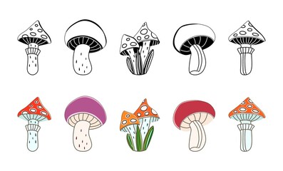 Mushrooms on a white background. Vector illustration. Autumn set of icons. Halloween. Abstract, hand drawn, decorative mushrooms. Harvest, food, vegetables, mushroom, fly agaric