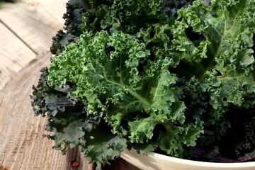 Kale kale close-up in a white bowl on a wooden table, healthy food.