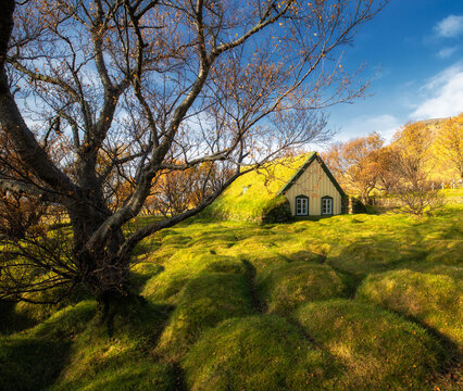 House with grass on the roof in the sun.
