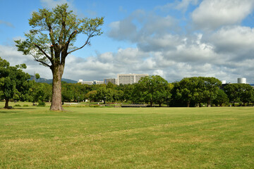 Fototapeta na wymiar 公園イメージ　大阪万博記念公園広大な芝生の公園