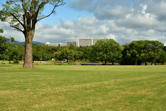 公園イメージ　大阪万博記念公園広大な芝生の公園