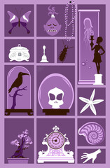 Cabinet of curiosities with a collection of weird and exotic objects, EPS 8 vector illustration