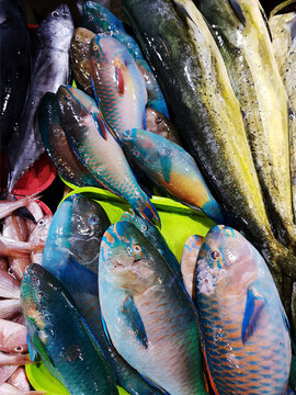 Different types of fish at the fishing port.