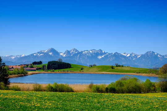 Scenic view of clear blue sky over springtime meadow and Schapfensee lake