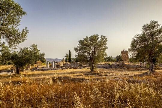 Ancient apollon temple during sunset at Gortyn, Crete, Greece