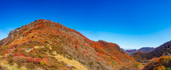 くじゅう連山 三俣山北峰と大鍋、紅葉の絶景。