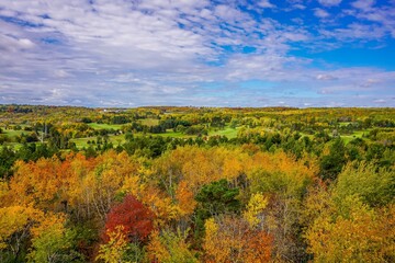 Fototapeta premium Colorful Autumn trees overlooking golf course in Duluth Minnesota