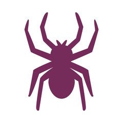 halloween spider isolated style icon