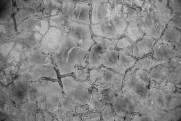 Cement and concreate pattern background.