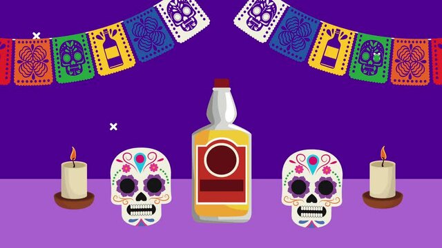 dia de los muertos celebration with skulls and tequila