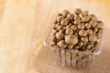 Fresh brown Shimeji mushroom in a plastic bowl on wooden background, Asian mushroom