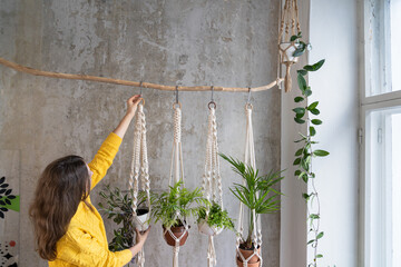 Woman gardener holding macrame plant hanger with houseplant over grey wall. Hobby, love of plants,...